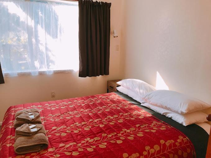 Aaron Court Motel Timaru Kültér fotó